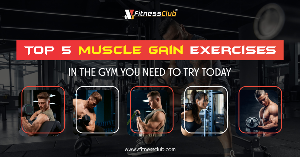 Top 5 Muscle Gain Exercises in the Gym You Need to Try Today